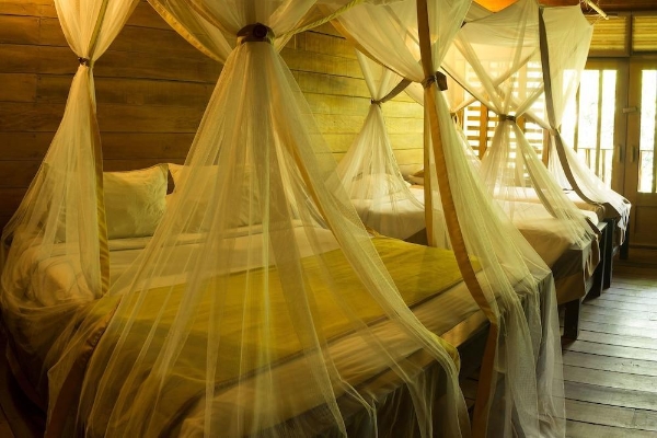 Hotel On Vacation Amazon All Inclusive
